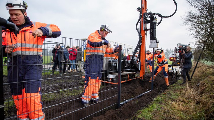 Na granicy Danii i Niemiec powstaje ogrodzenie dla ochrony przed ASF