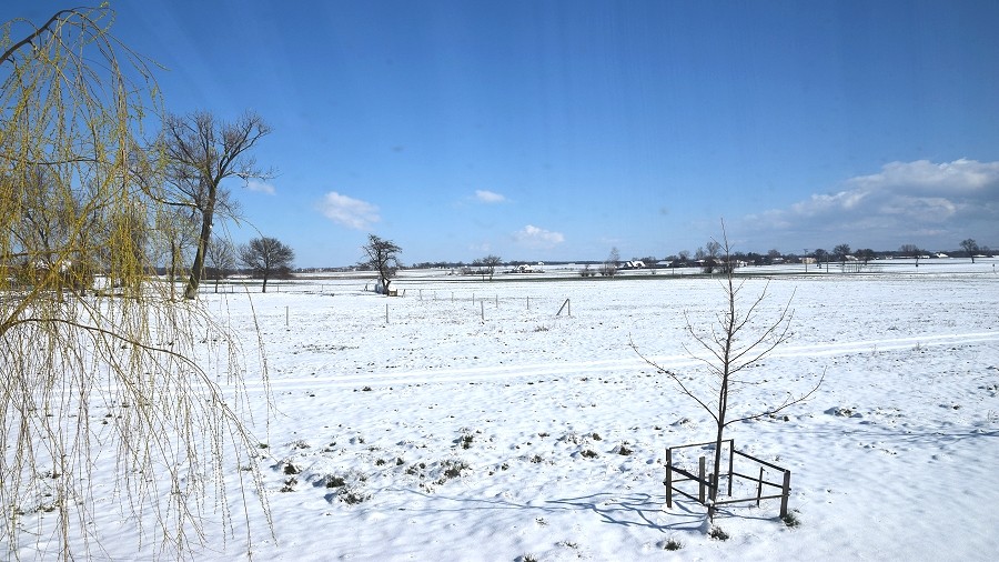 Śnieg w Woźnikach k. Piotrkowa Trybunalskiego w woj. łódzkim. Fot. Sławek / TwojaPogoda.pl