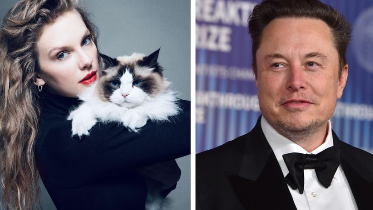 Taylor Swift jako "bezdzietna kociara". Elon Musk reaguje na najgłośniejszy wpis w USA