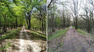 03.05.2023 05:58 Nasz czytelnik robi zdjęcia w tym samym dniu i miejscu każdego roku. Efekt jest powalający