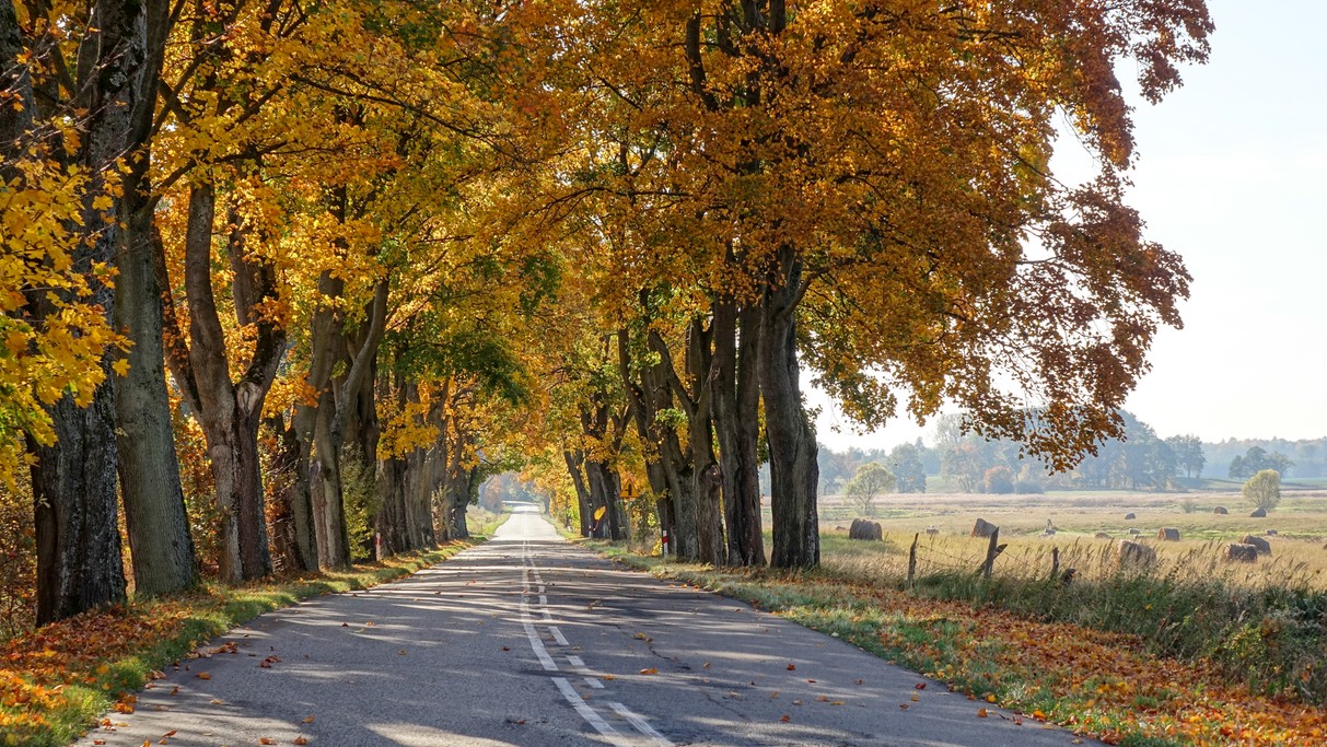 Październik w obiektywie - zdjęcie 69