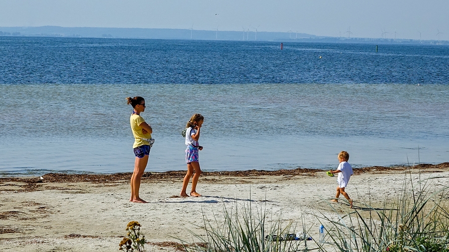 12.09.2019 09:00 Szwecja i Dania biją na alarm, bo ścieki z Wisły zaczęły zatruwać Bałtyk. Plażowicze w zagrożeniu