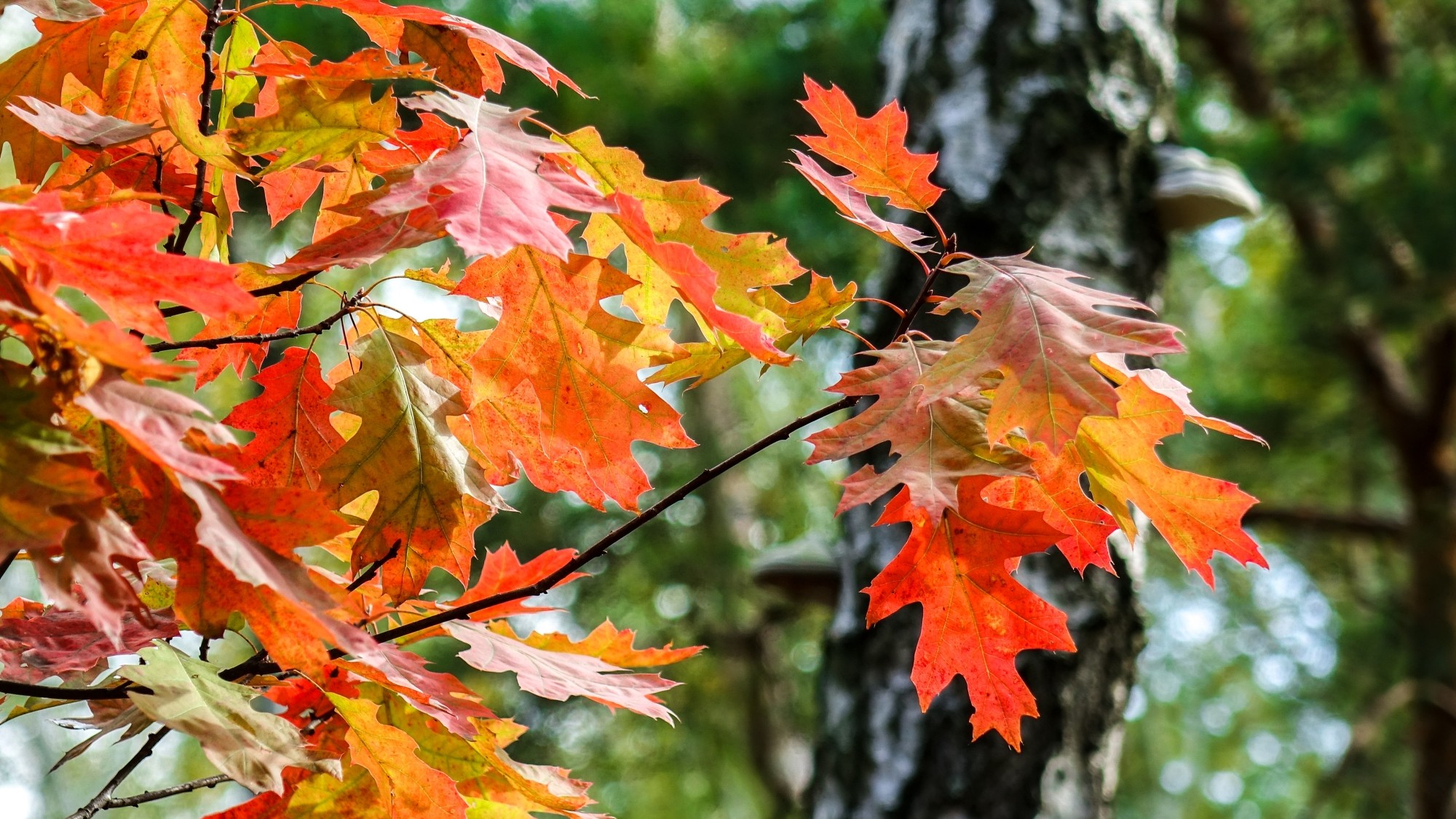 Wrzesień w obiektywie - zdjęcie 12