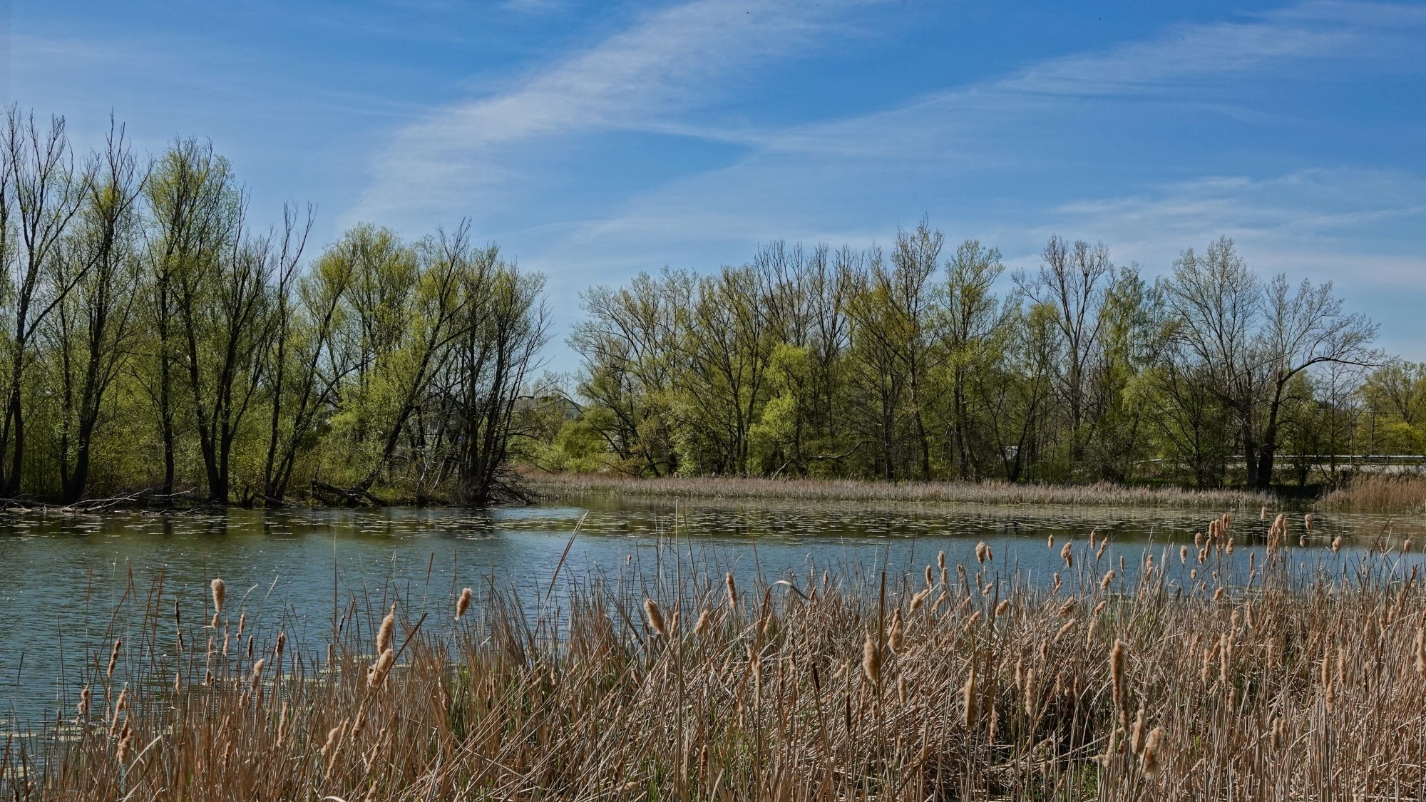 Kwiecień w obiektywie - zdjęcie 38