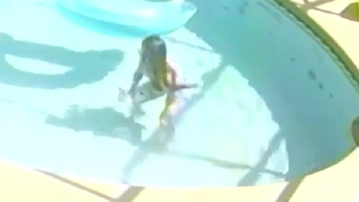 Floryda. Kobieta utopiła psa w basenie. Nagranie trafiło do szeryfa