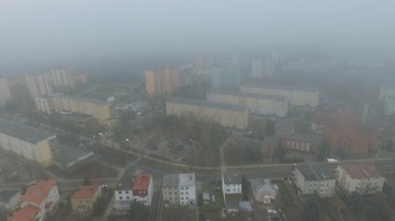 12 proc. zgonów w Polsce powiązanych ze smogiem