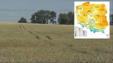 Morawiecki o suszy w Polsce: na pewno nie powiemy nigdy rolnikom, że trzeba się ubezpieczyć"