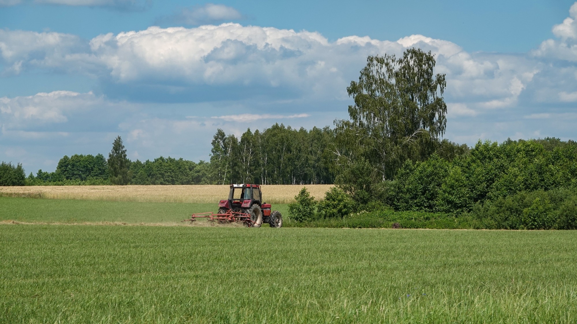 Środek lata w plenerze - zdjęcie 24