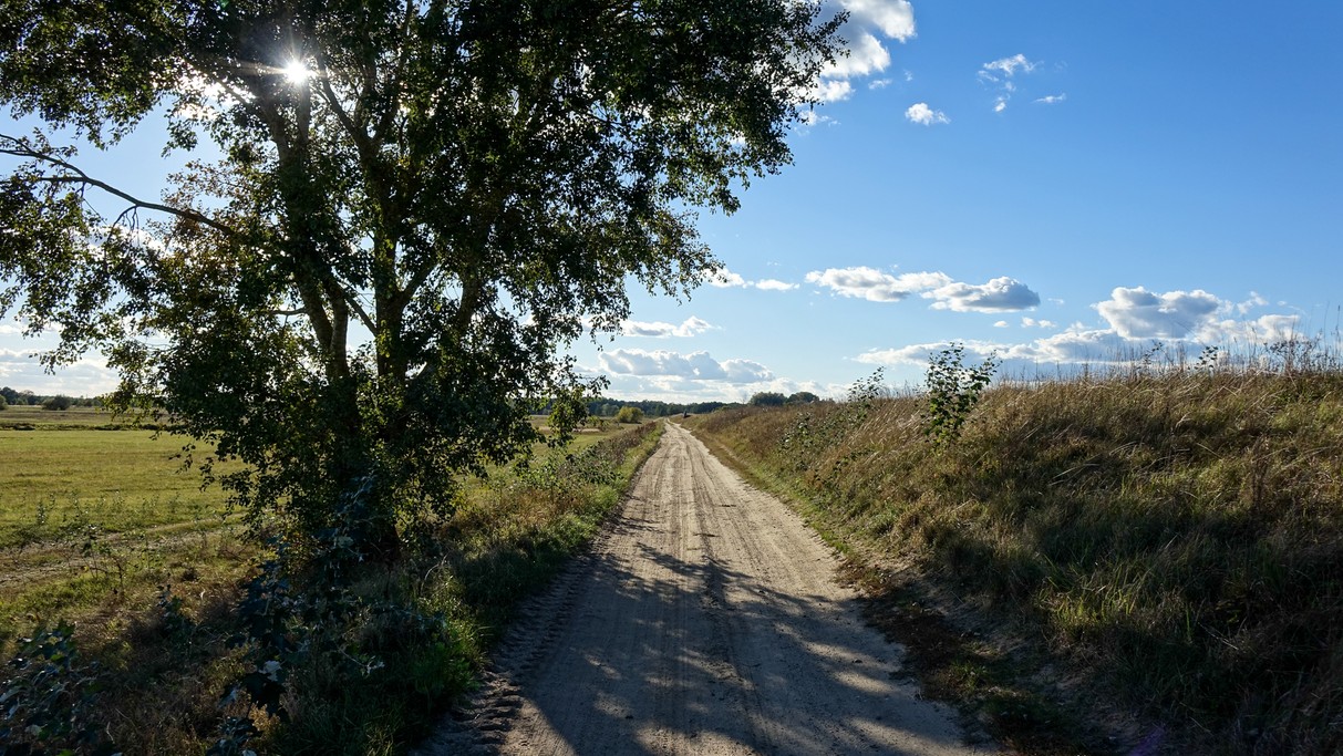 Uroki końca lata - zdjęcie 38