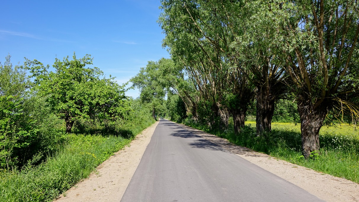 Czerwiec w obiektywie - zdjęcie 52