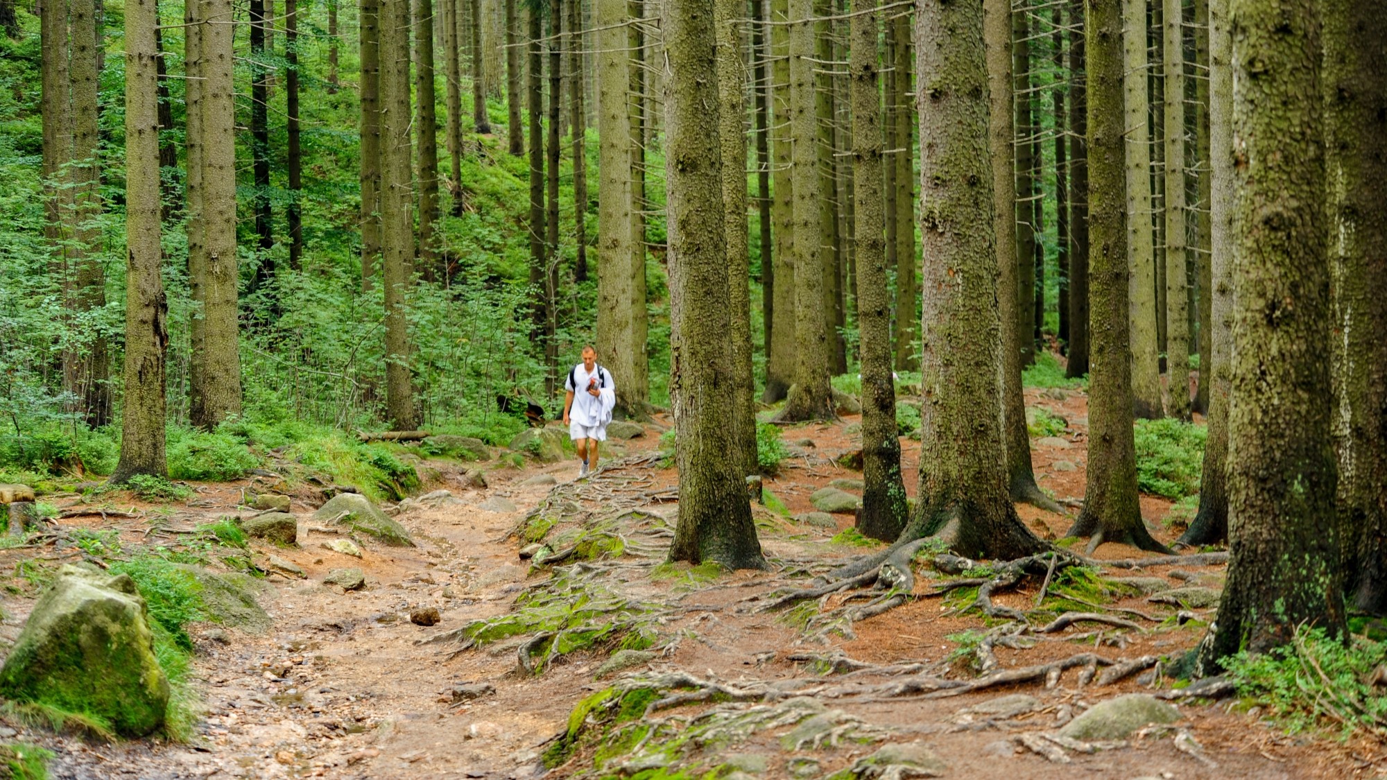 Piękne miejsca w Karkonoszach - zdjęcie 16