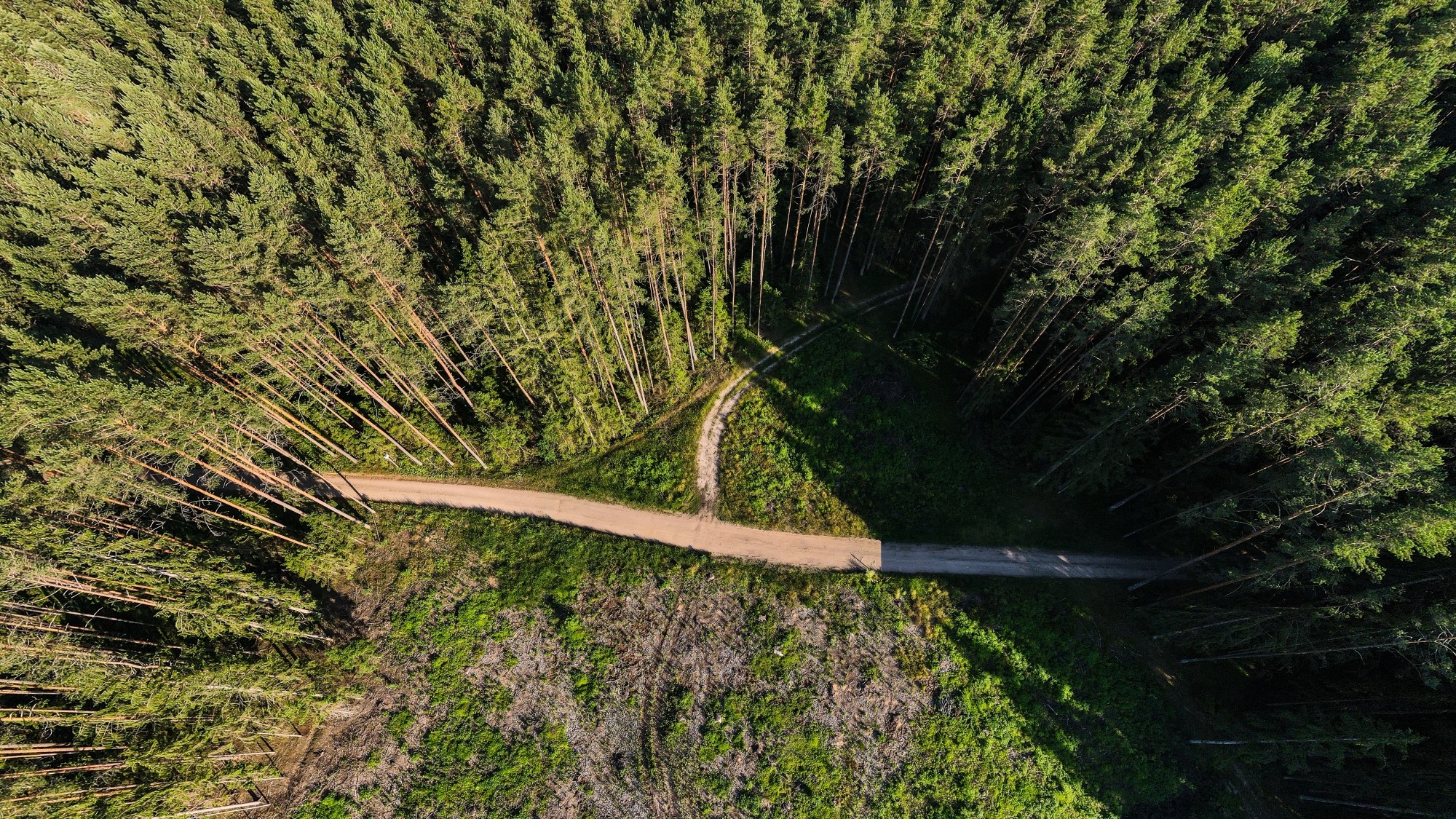 Piękne letnie krajobrazy z lotu ptaka - zdjęcie 28