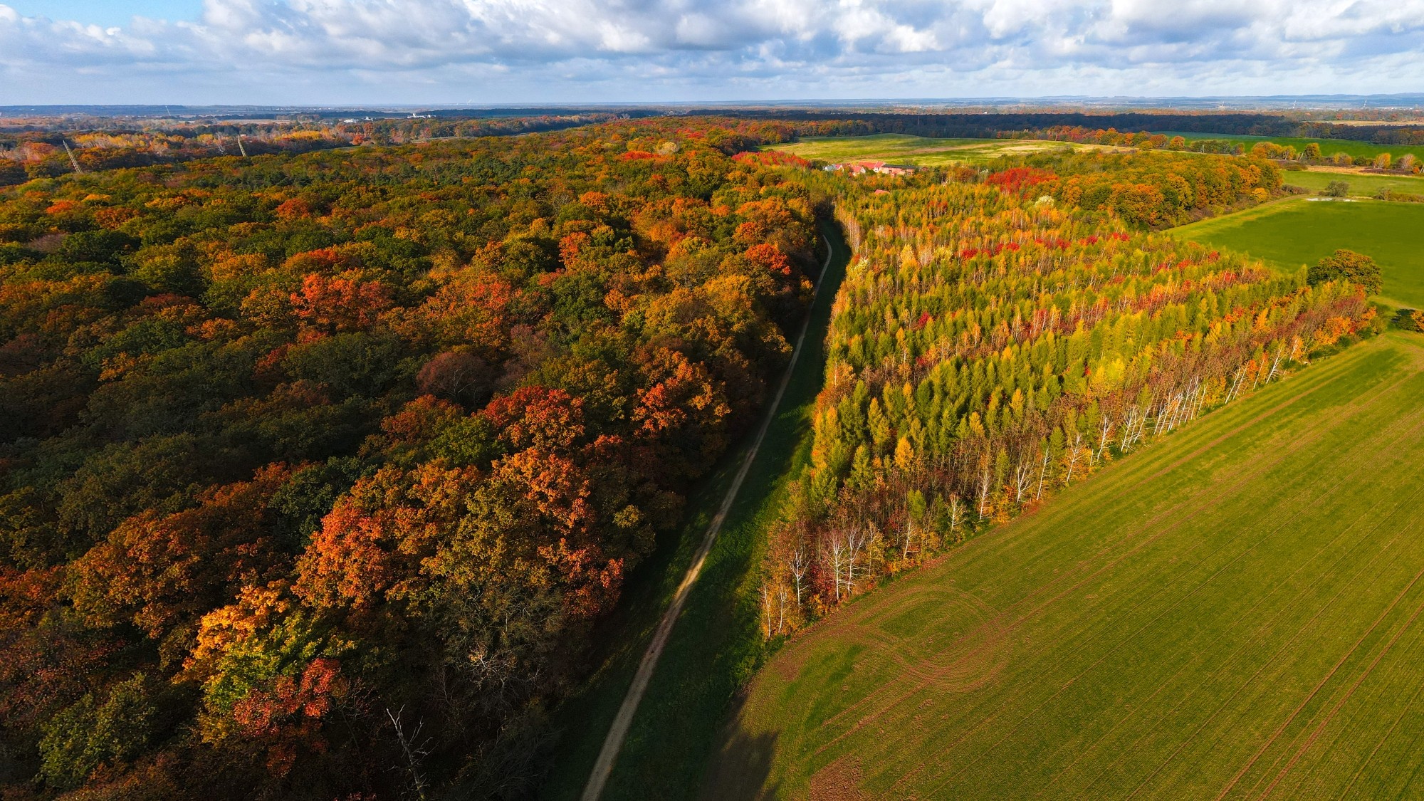 Jesień w Polsce z lotu ptaka - zdjęcie 24