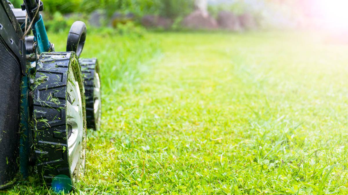 Właściwa pielęgnacja trawnika po zimie kluczem do jego pięknego wyglądu