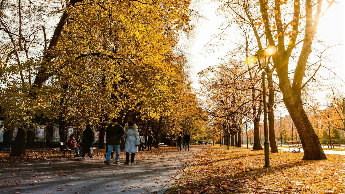 Gdzie w Polsce zarabia się najwięcej w 2025 r.? Lista miast