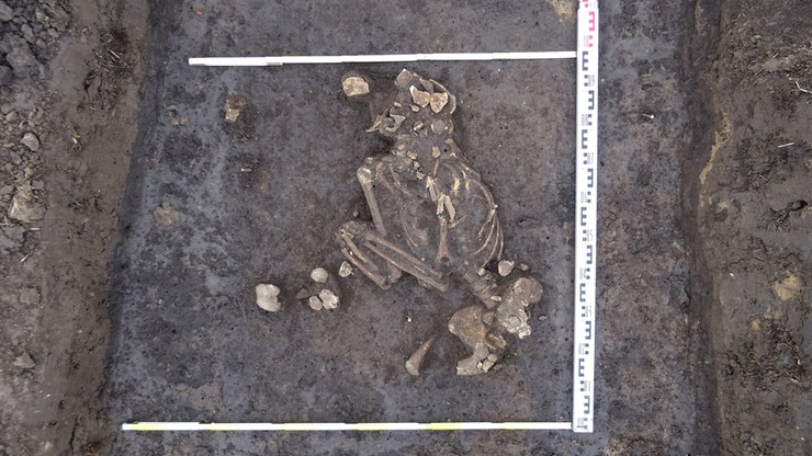 Śląsk. Rolnik znalazł cmentarzysko sprzed 4 tys. lat. Zaskakująca forma pochówku