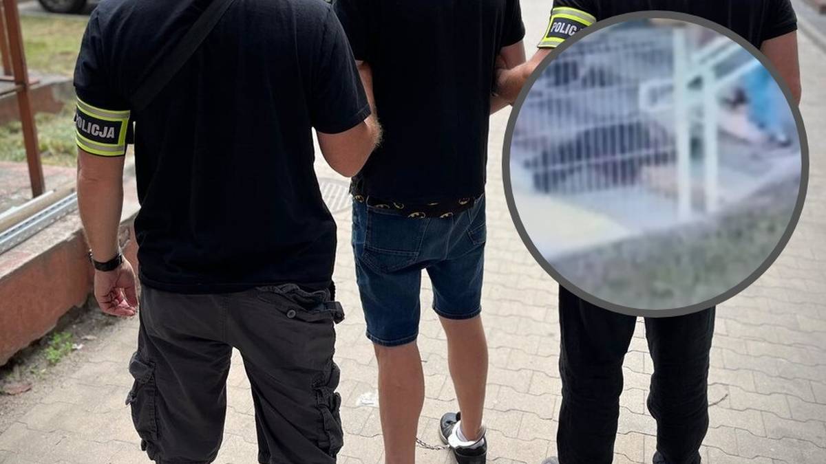Nagle kopnął kobietę w głowę. Bulwersujące sceny w Łodzi