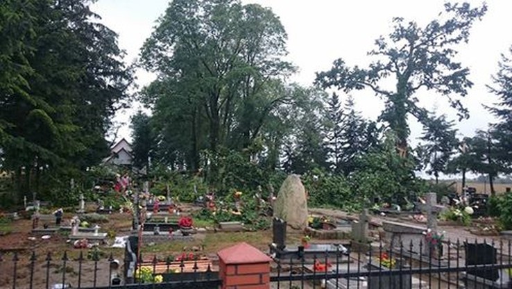 Powalone drzewa na cmentarzu