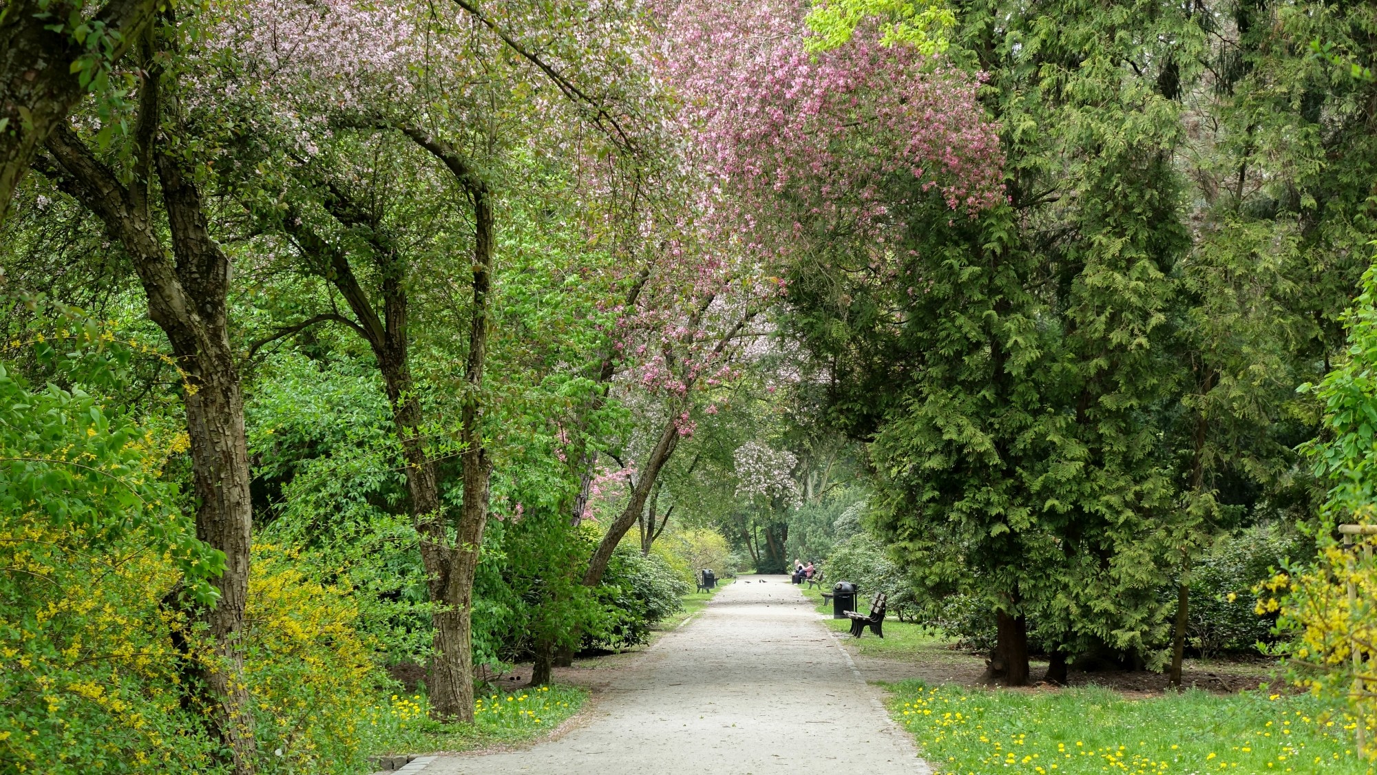 Kwiecień w obiektywie - zdjęcie 14