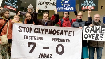 "Listy obserwacyjne" Monsanto. Zbierali dane dziennikarzy i polityków
