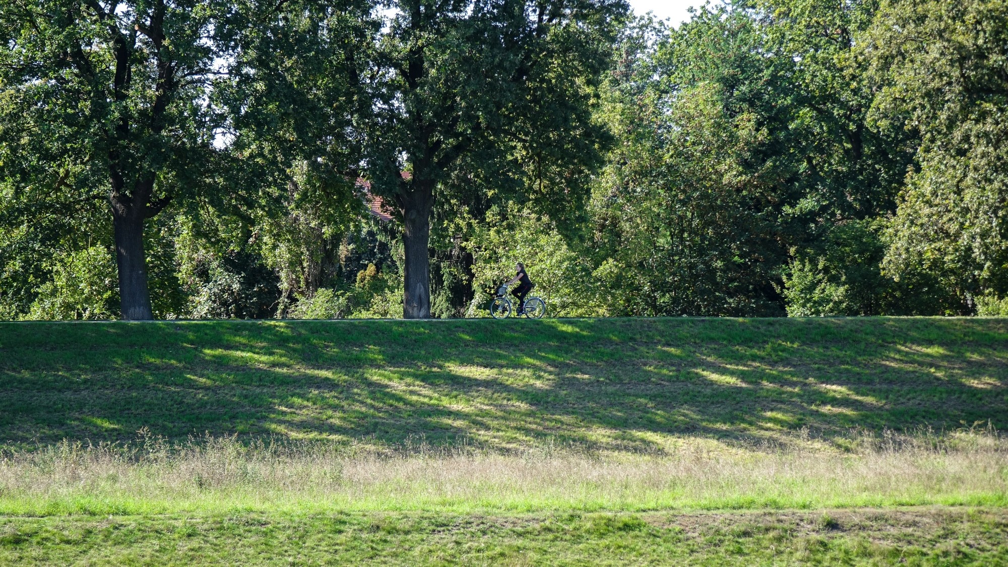 Późne lato na łonie natury - zdjęcie 42