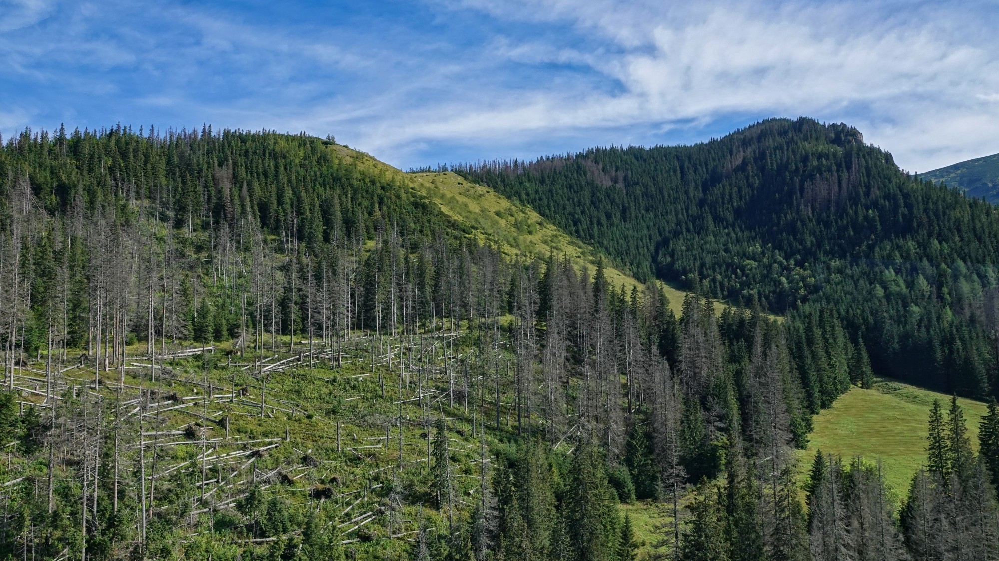 Piękno Tatr tuż przed opadami śniegu - zdjęcie 29