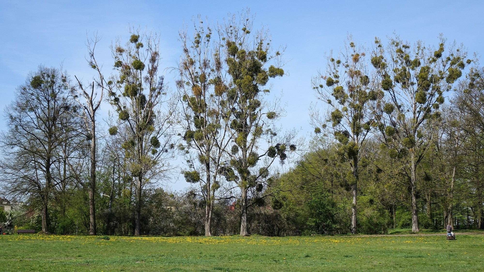 Kwiecień w obiektywie - zdjęcie 41