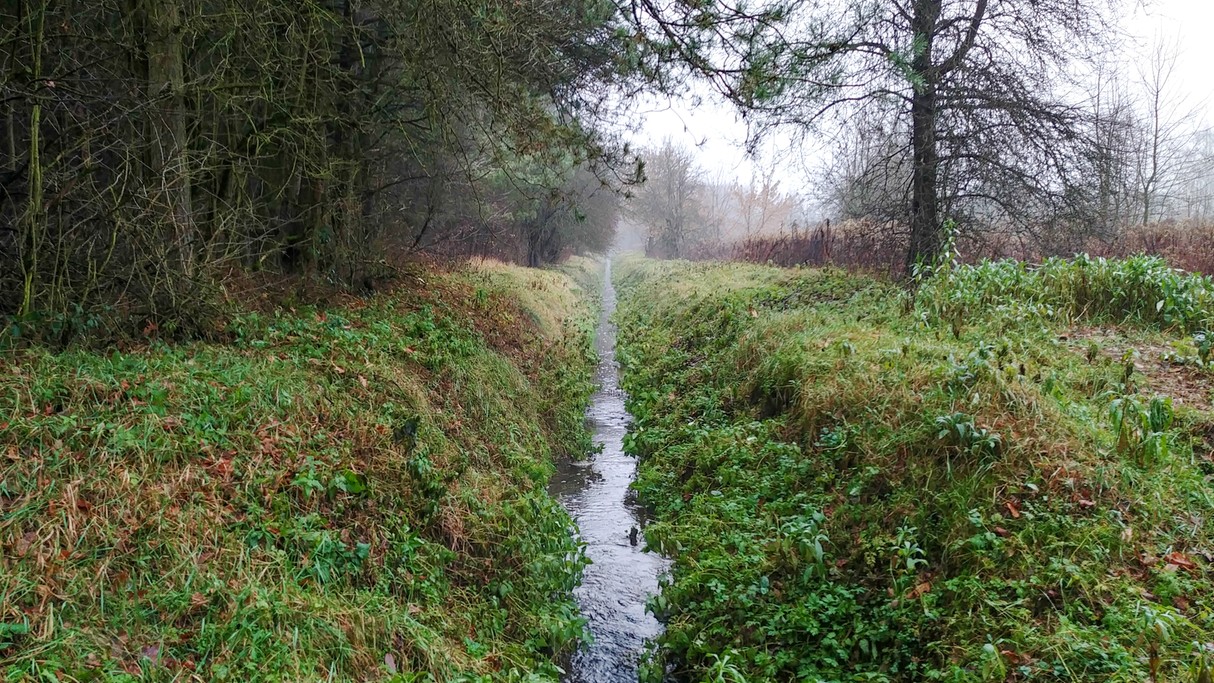 Listopad w obiektywie - zdjęcie 15