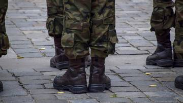 Co planują zrobić Polacy w razie wojny? Sondaż