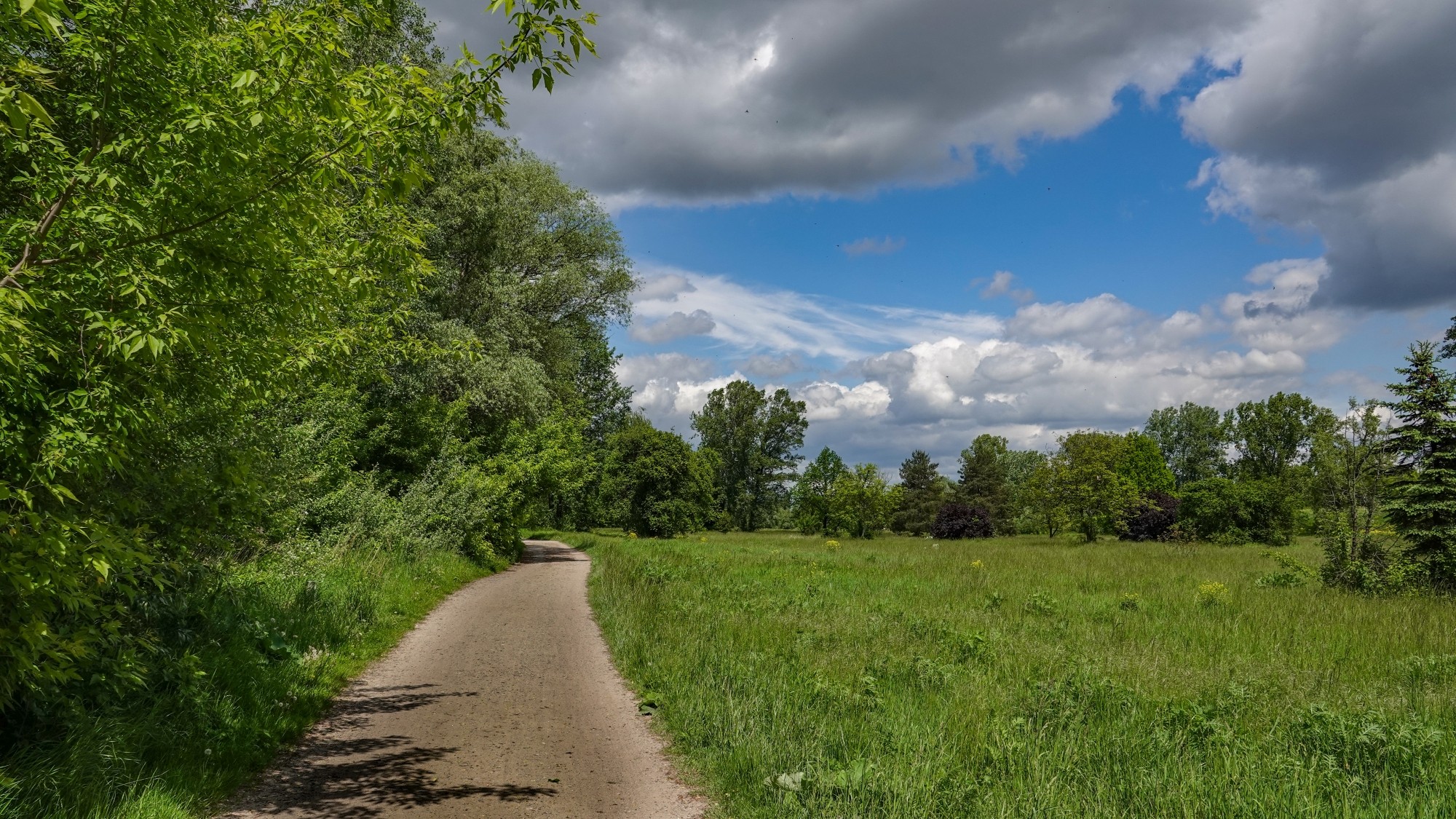 Lato w plenerze - zdjęcie 42