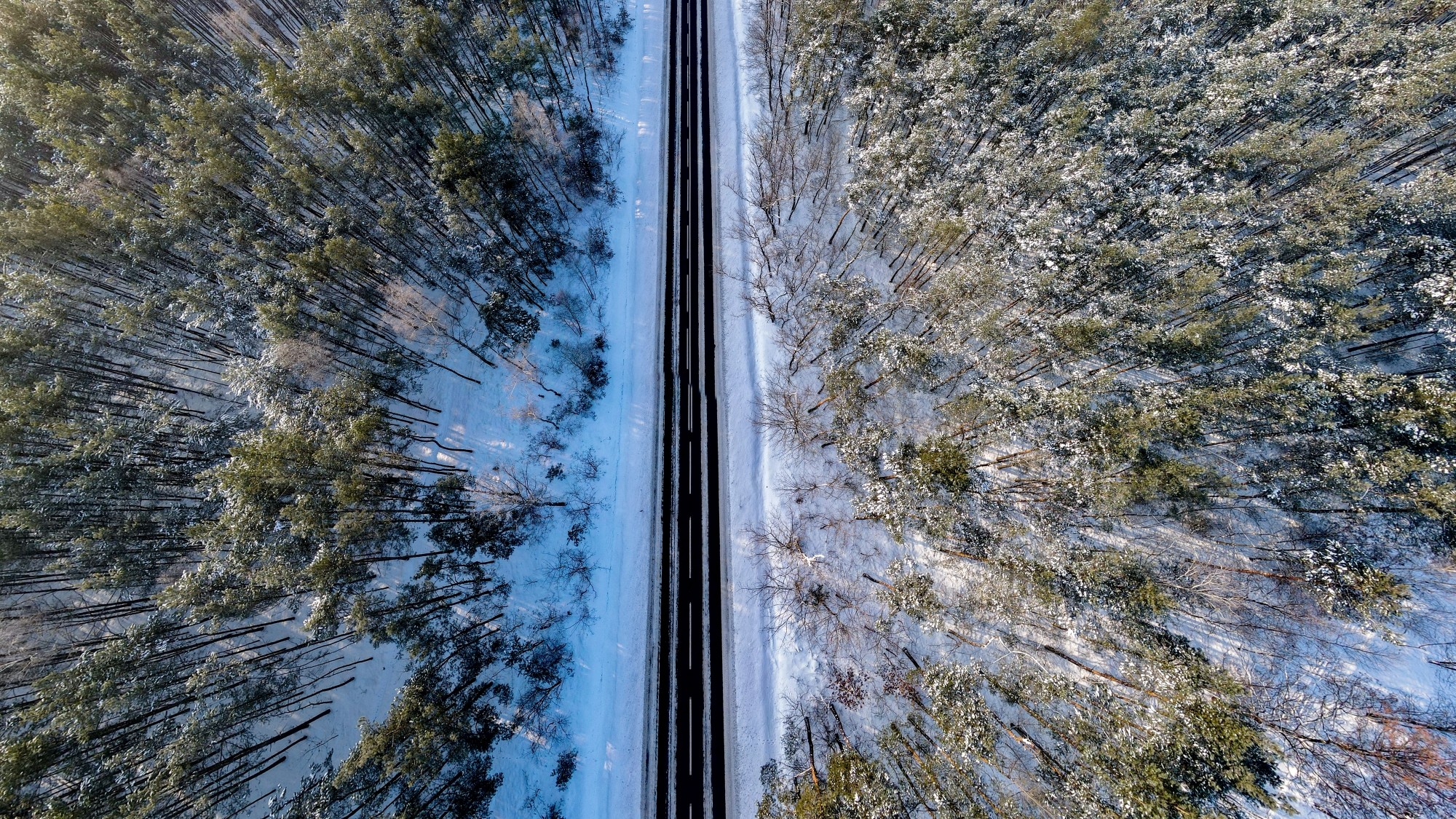 Cuda polskiej natury - zdjęcie 62