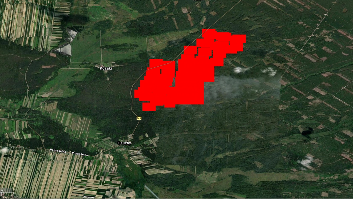 Pożar w Puszczy Solskiej