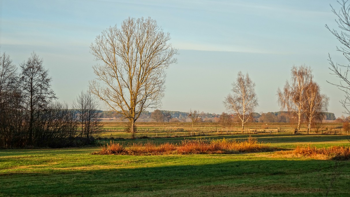 Listopad w obiektywie - zdjęcie 53