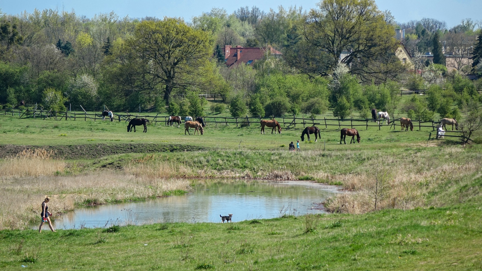 Polskie krajobrazy w 2019 roku - zdjęcie 52