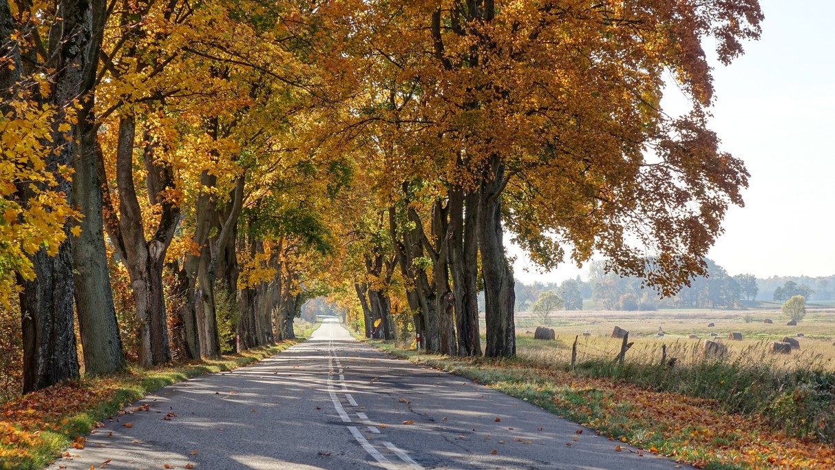 Barwy jesieni - zdjęcie 20