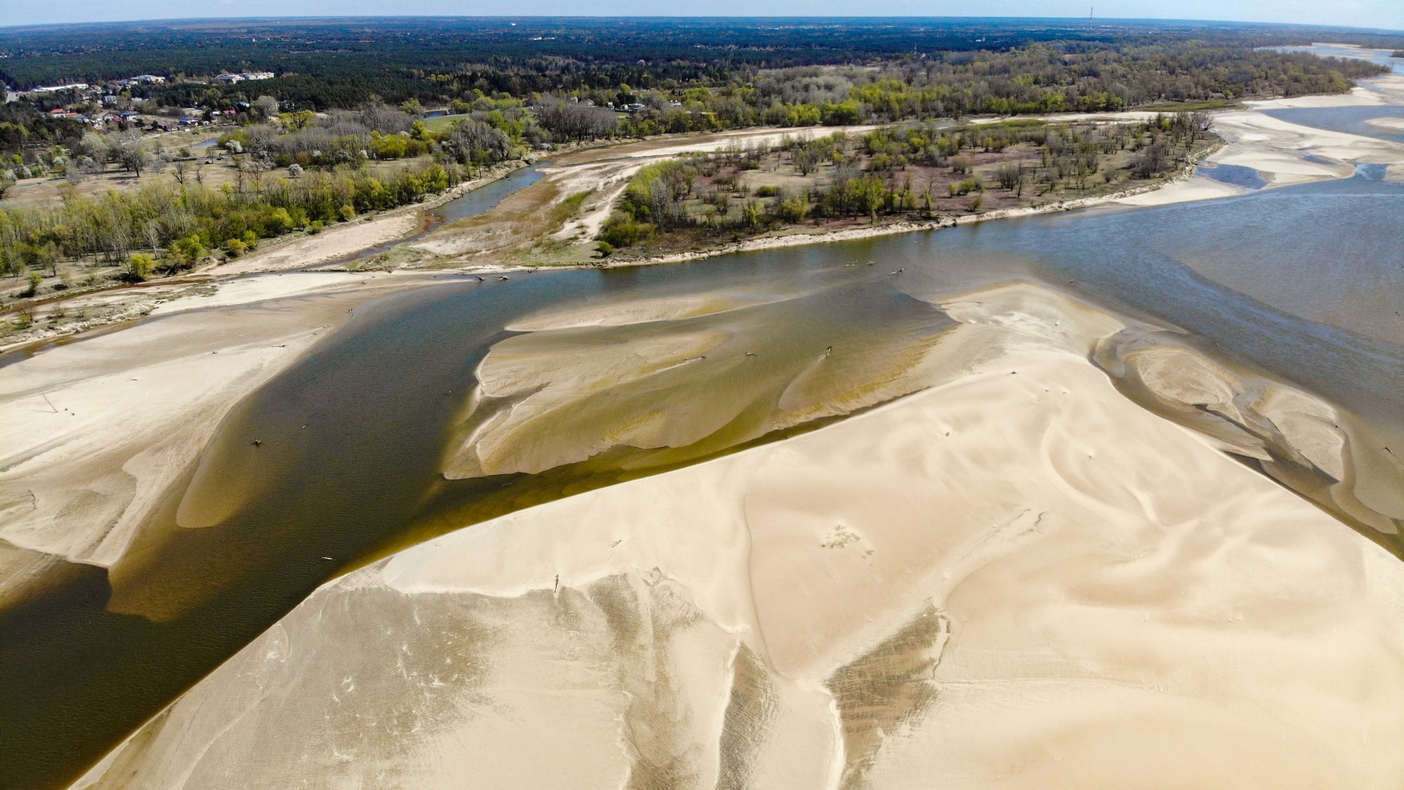 Susza na Wiśle - zdjęcie 13