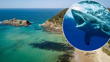 Śmiertelny atak rekina. 20-latka zginęła na miejscu