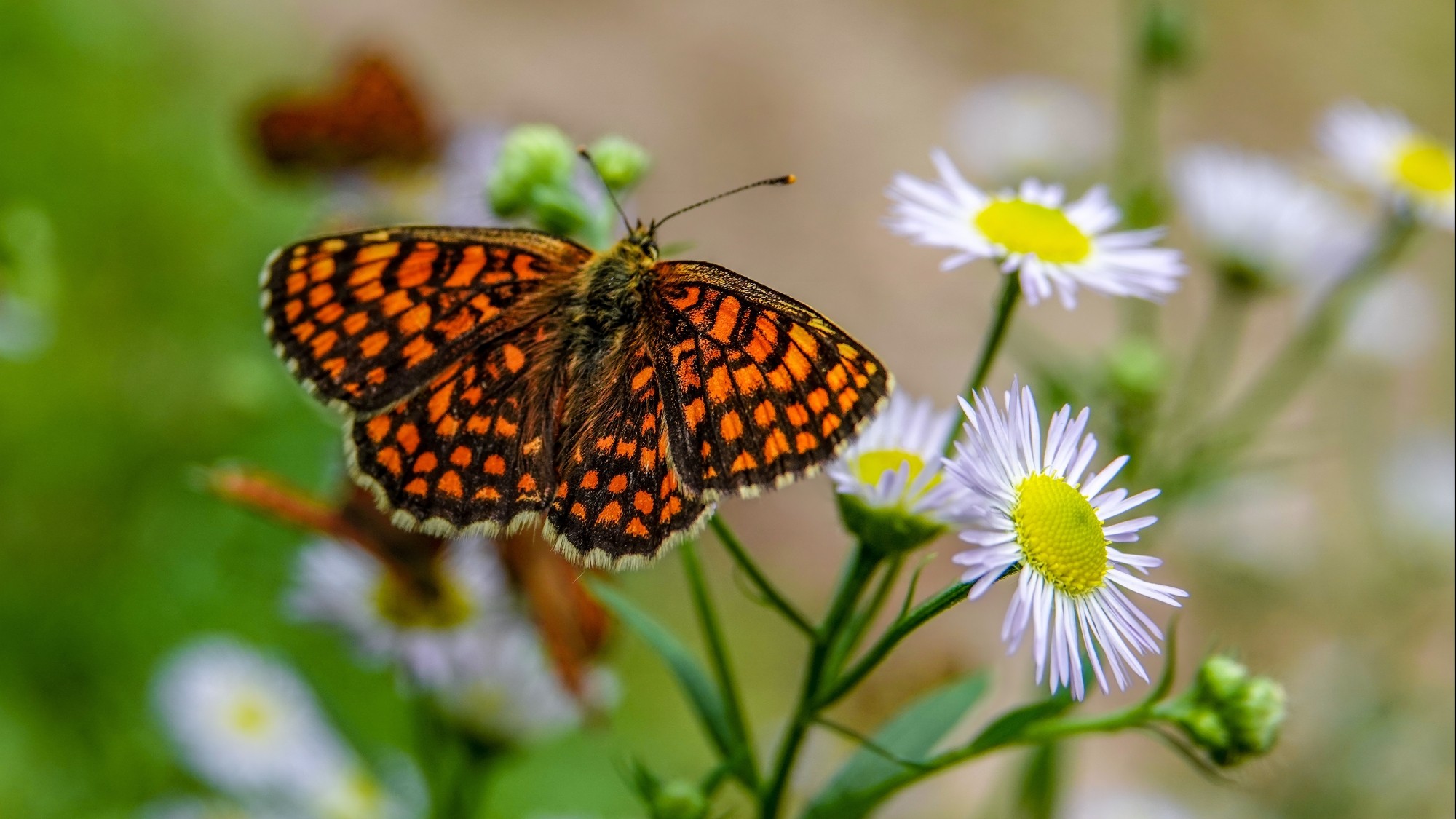 Wakacyjne podróże - zdjęcie 8