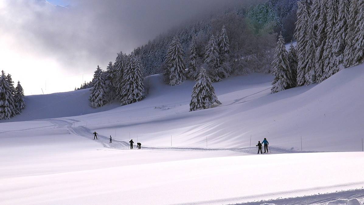 Cały region cierpi przez brak śniegu. Zapadła kluczowa decyzja