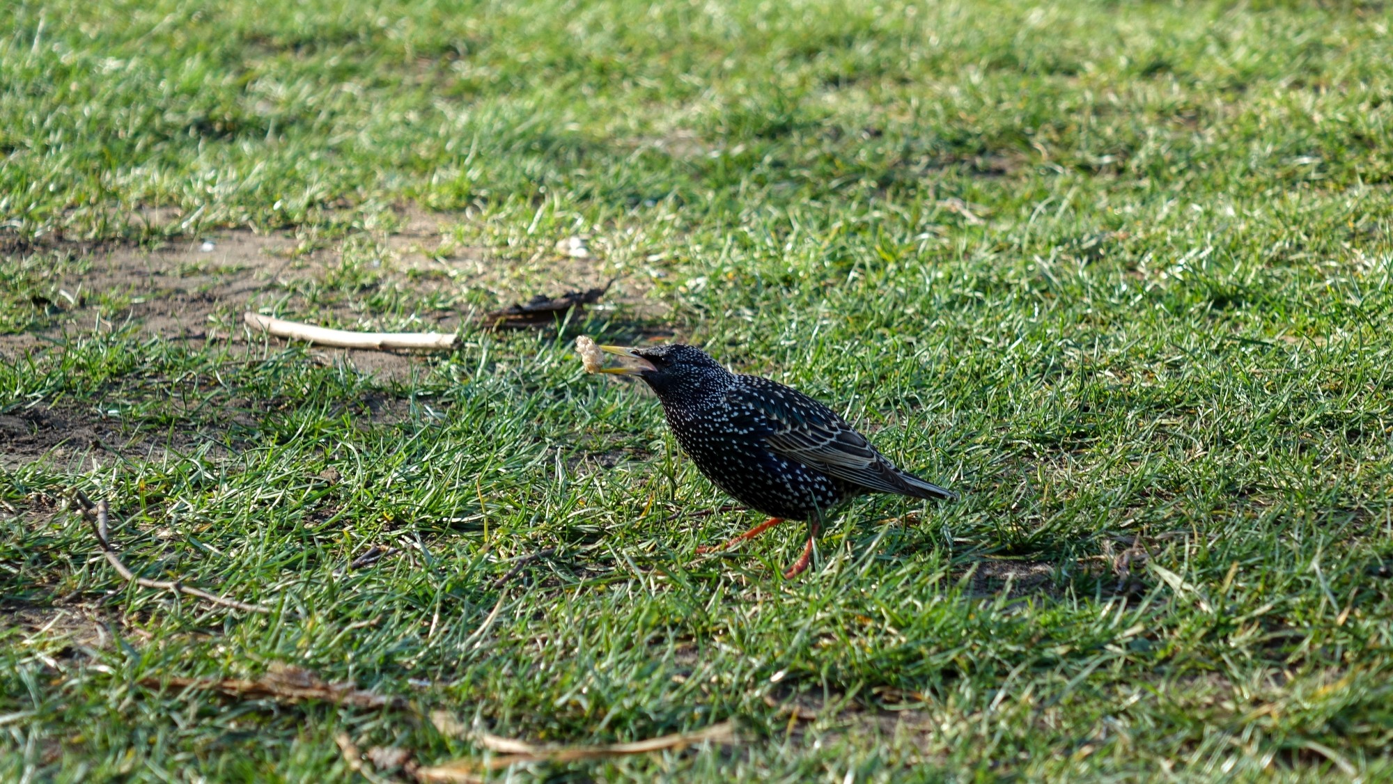 Podróż przez wiosenną Polskę - zdjęcie 40