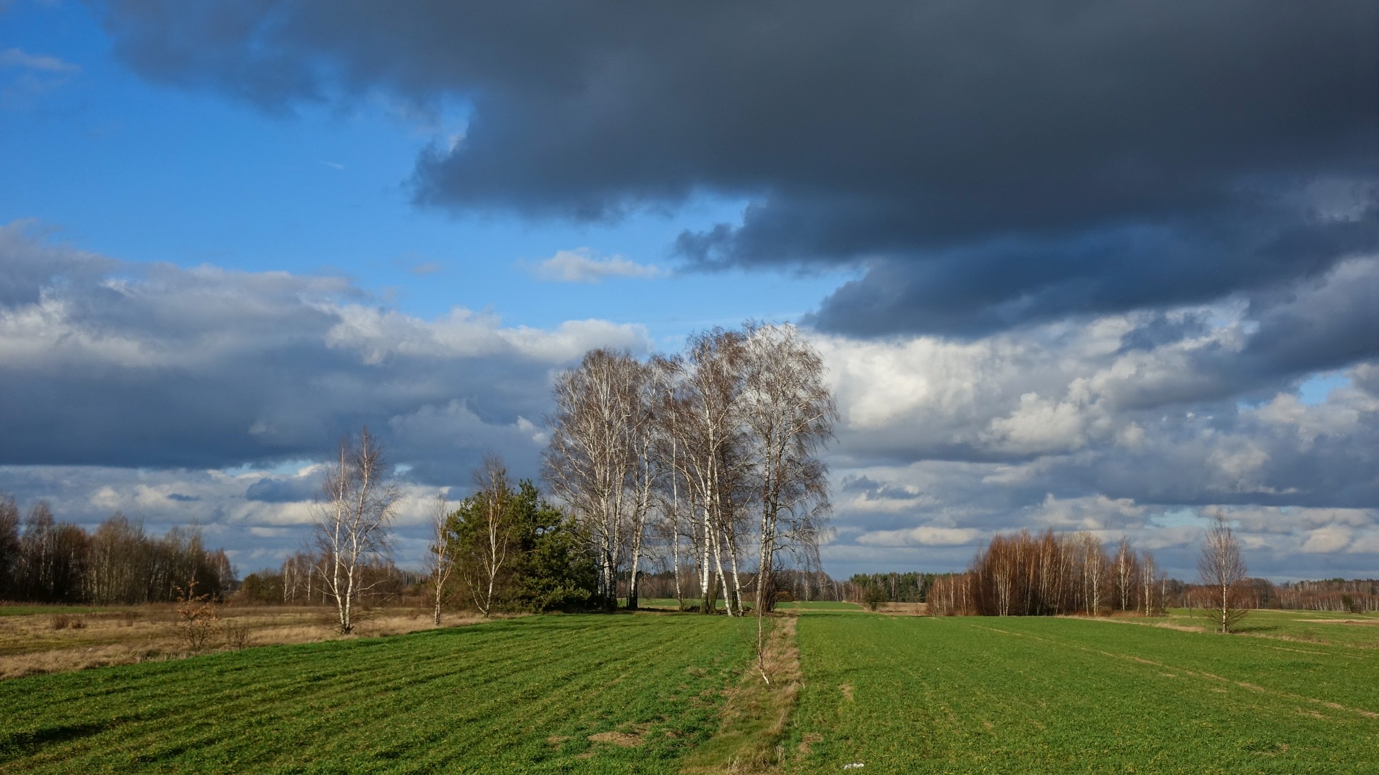 Najcieplejsza zima w historii - zdjęcie 31