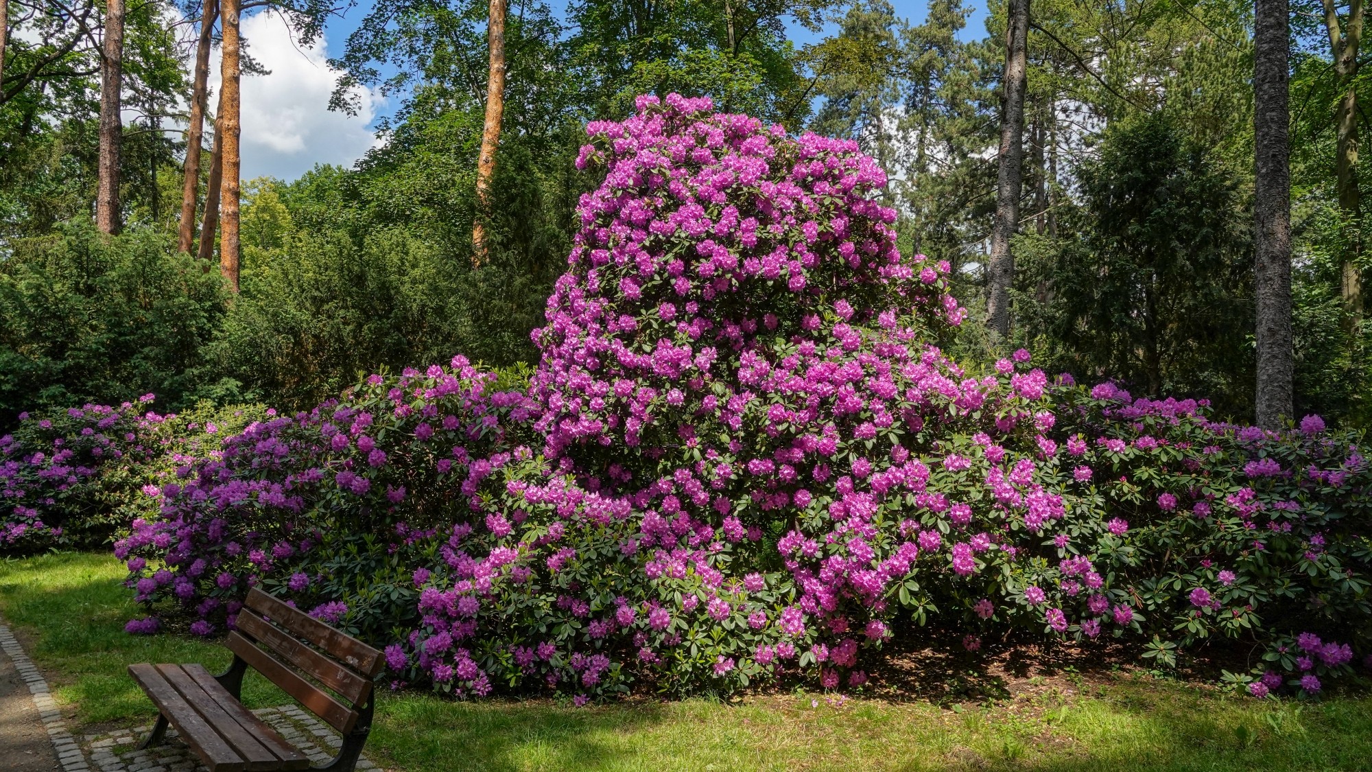 Uroki zielonej pory roku - zdjęcie 29