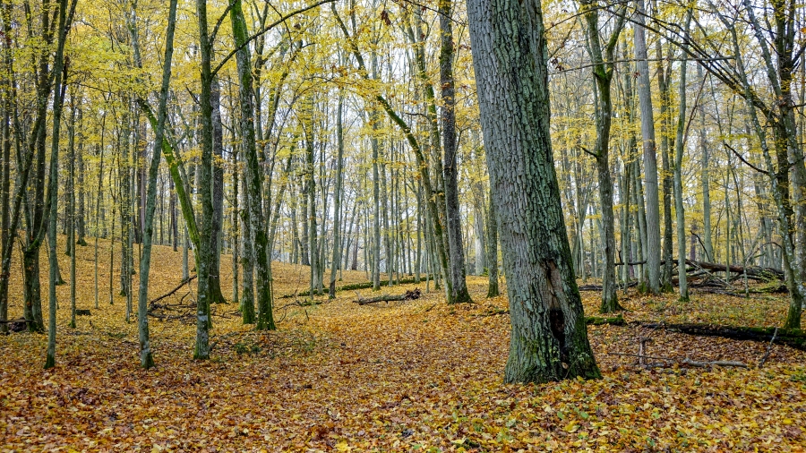 Fot. TwojaPogoda.pl