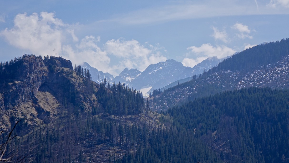 Majówka w Tatrach - zdjęcie 36
