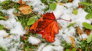 13.10.2022 06:00 W prognozach pojawił się pierwszy śnieg na nizinach. Wiemy, kiedy i gdzie może zrobić się biało