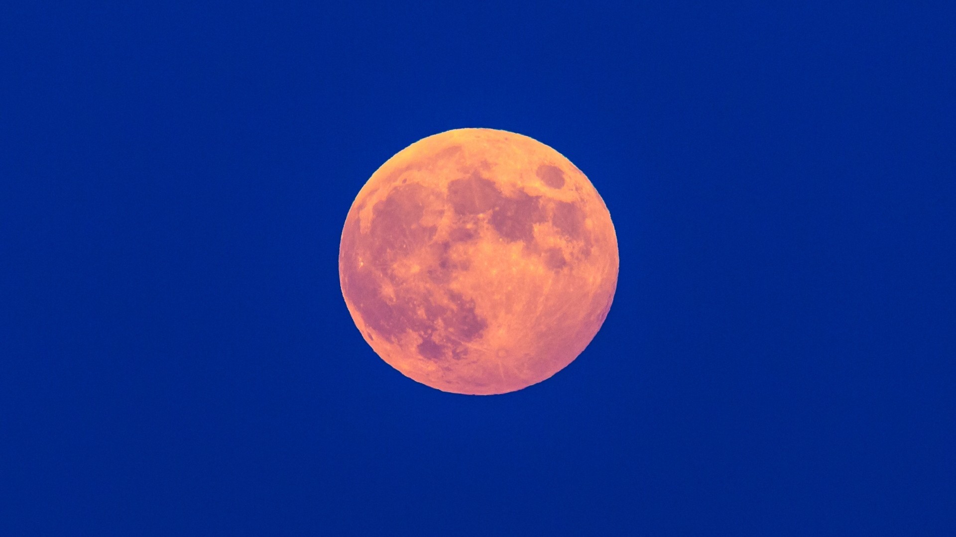 Pełnia Truskawkowego Księżyca - zdjęcie 6