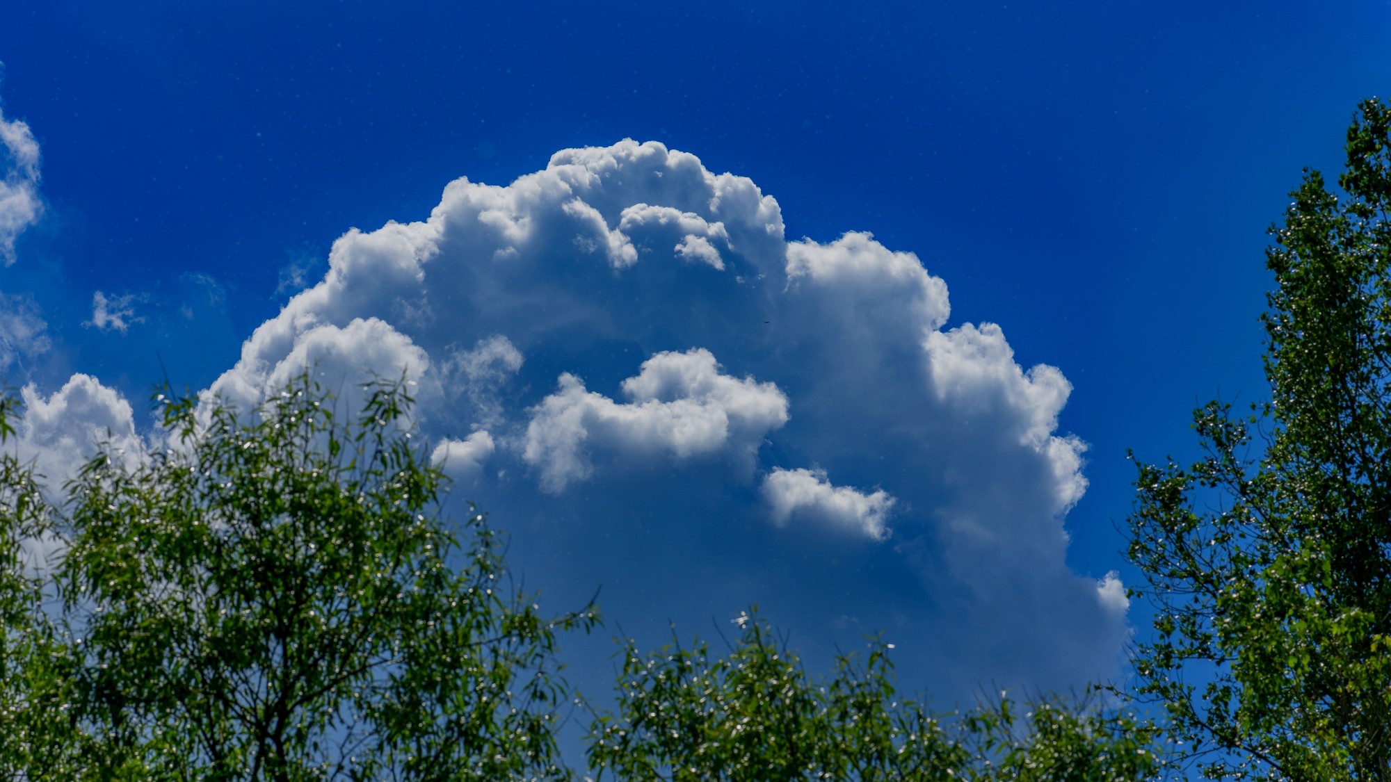 Niebo nad nami - zdjęcie 40