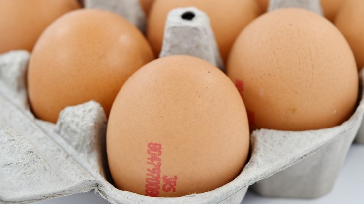 Ceny jajek wzrosną, bo jest mniej kur niosek. Eksperci: Sytuacja katastrofalna