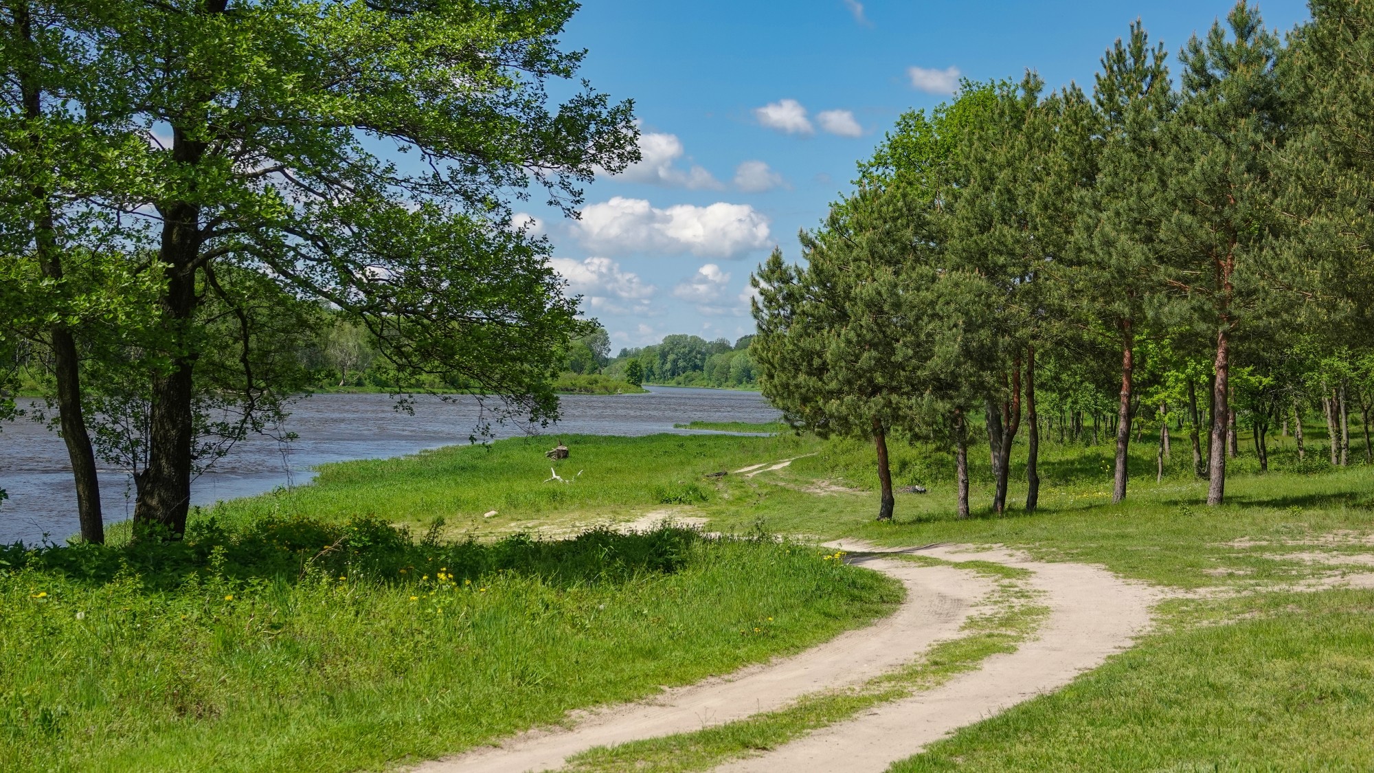 100 najpiękniejszych zdjęć 2021 roku - zdjęcie 11
