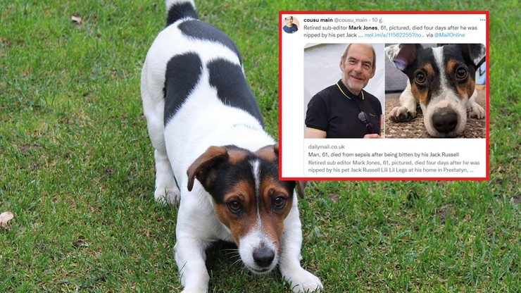 Wielka Brytania: Zmarł po tym, jak ugryzł go pies. "Rokowania były bardzo złe"
